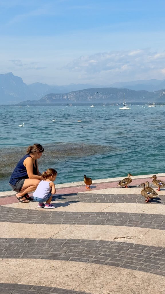 Bambina osserva le anatre sul lungolago di Lazise